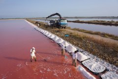 Salin grau du roi Camargue