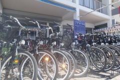 Location VTT en Camargue au Grau du roi