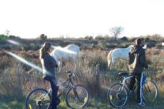 tb_Decouverte-de-la-Camargue-en-VTT-1