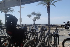 Location VTT en Camargue au Grau du roi