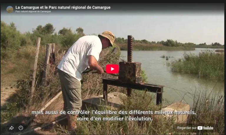 Présentation de la Camargue FR