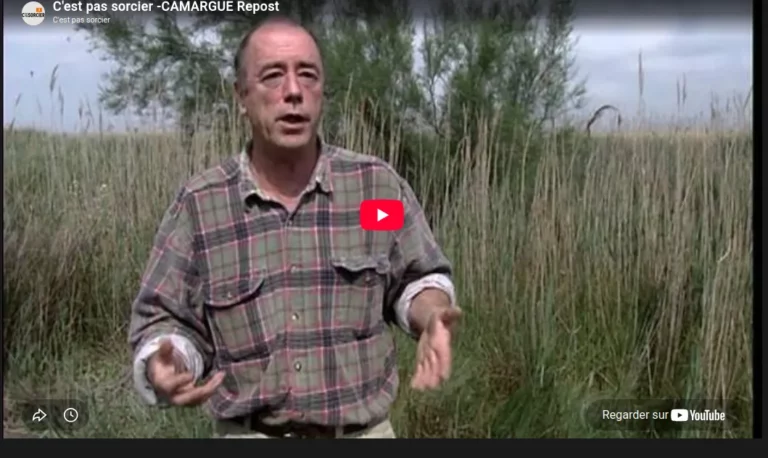 Camargue : c'est pas sorcier