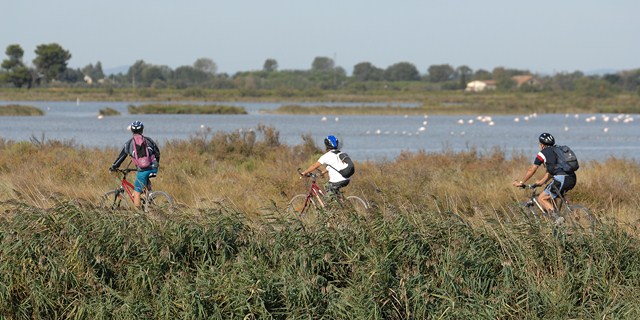 location et découverte du grau du roi en vélo en Camargue